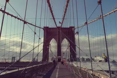 Modi non ut voluptate ut.